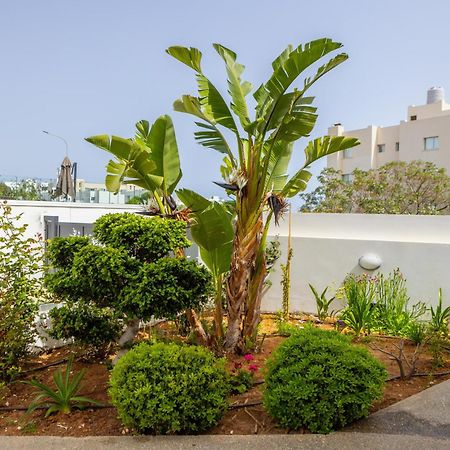 Fig Tree Bay Residences 5 Πρωταράς Εξωτερικό φωτογραφία