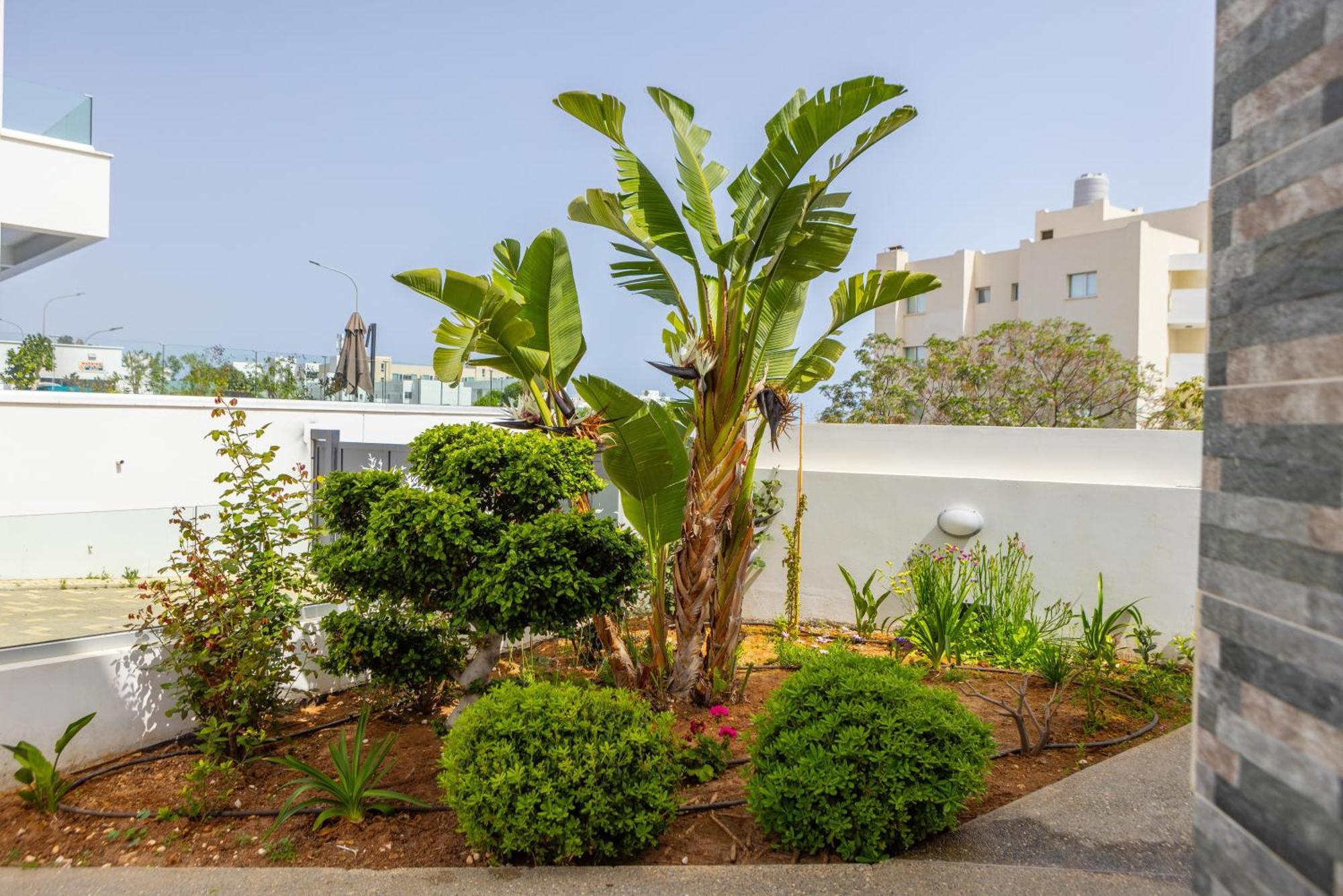 Fig Tree Bay Residences 5 Πρωταράς Εξωτερικό φωτογραφία